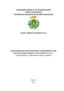 Imagem de Miniatura
