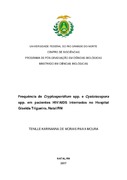 Imagem de Miniatura