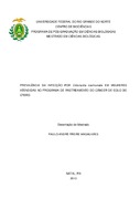 Imagem de Miniatura
