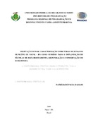 Imagem de Miniatura