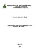 Imagem de Miniatura