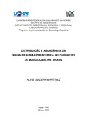 Imagem de Miniatura
