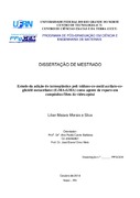 Imagem de Miniatura