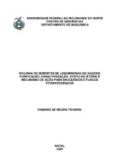 Imagem de Miniatura