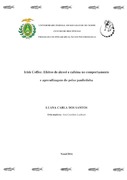 Imagem de Miniatura