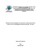 Imagem de Miniatura