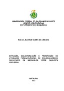 Imagem de Miniatura