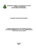 Imagem de Miniatura