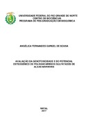 Imagem de Miniatura