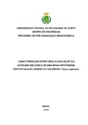 Imagem de Miniatura