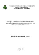 Imagem de Miniatura