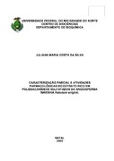 Imagem de Miniatura