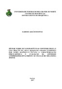 Imagem de Miniatura