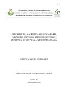 Imagem de Miniatura