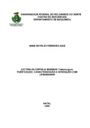 Imagem de Miniatura
