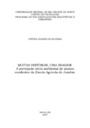 Imagem de Miniatura