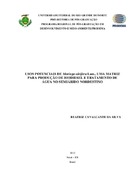Imagem de Miniatura