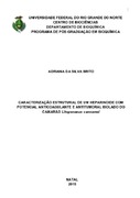 Imagem de Miniatura