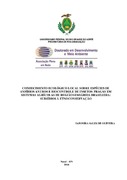 Imagem de Miniatura