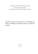 Imagem de Miniatura