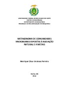 Imagem de Miniatura