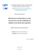 Imagem de Miniatura