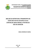 Imagem de Miniatura