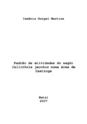 Imagem de Miniatura