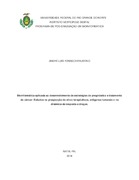 Imagem de Miniatura