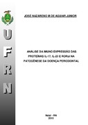Imagem de Miniatura