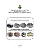 Imagem de Miniatura