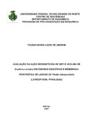 Imagem de Miniatura