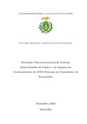 Imagem de Miniatura
