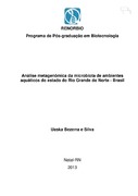 Imagem de Miniatura
