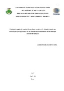 Imagem de Miniatura