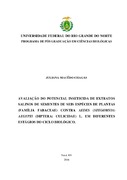 Imagem de Miniatura