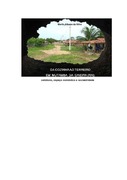 Imagem de Miniatura