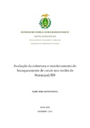 Imagem de Miniatura