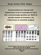 Imagem de Miniatura