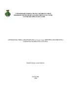 Imagem de Miniatura