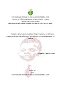Imagem de Miniatura
