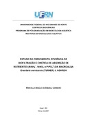 Imagem de Miniatura