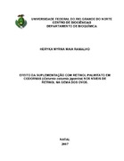 Imagem de Miniatura