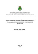 Imagem de Miniatura