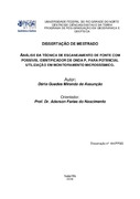 Imagem de Miniatura