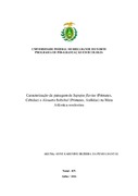 Imagem de Miniatura