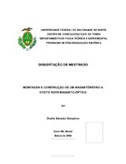 Imagem de Miniatura
