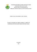 Imagem de Miniatura