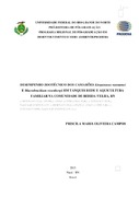 Imagem de Miniatura