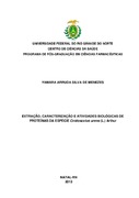 Imagem de Miniatura